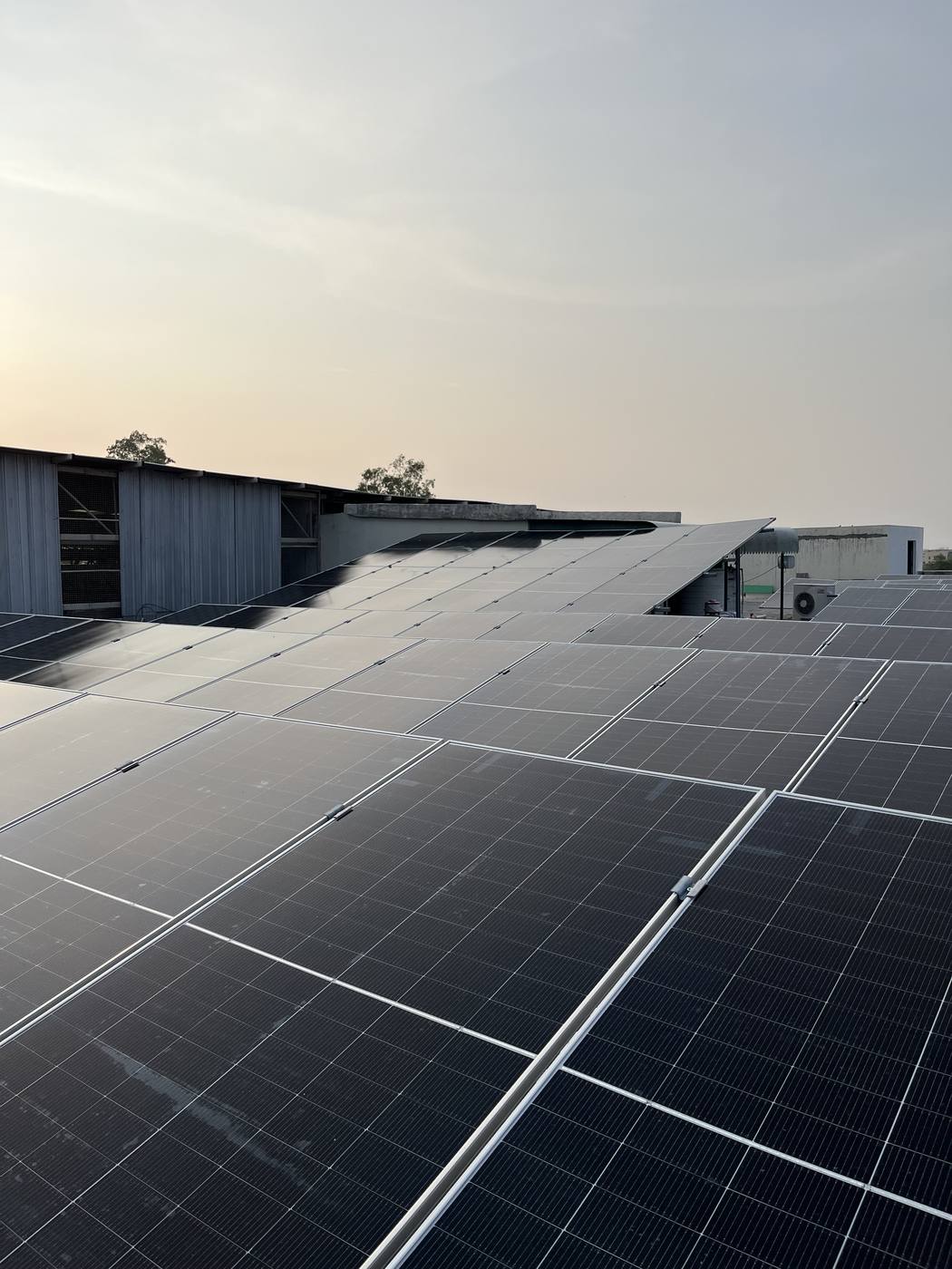Solar panels at sunset
